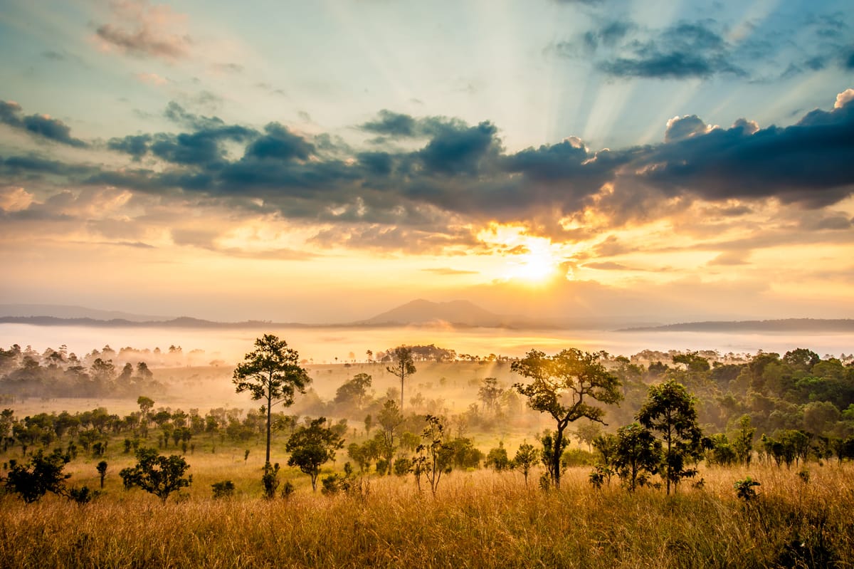 Magento >= 2.2 获取 Configurable 产品的子产品相关方法